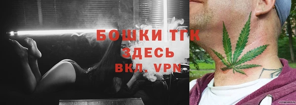 трава Аркадак