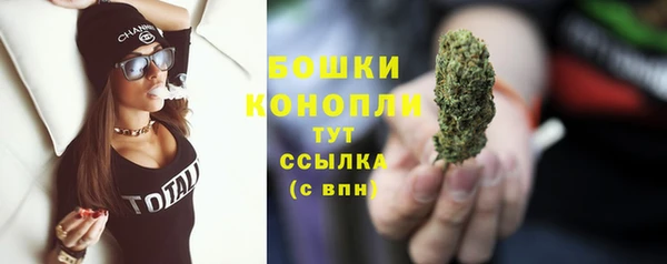 трава Аркадак